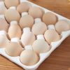 organizador de huevos