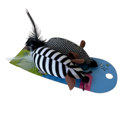 ratones-rayados-con-plumas